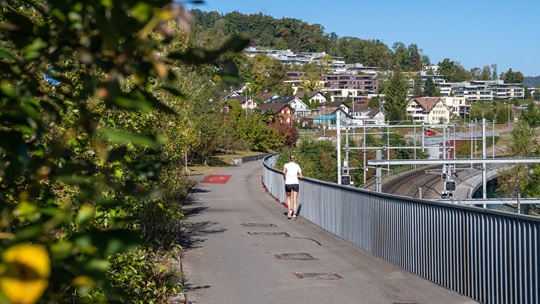 Fussverkehr Kanton Luzern