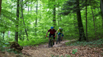 Quelle: Arbeitshilfe Mountainbike-Wege im Luzerner Wald, Foto: Tobin Meyers (ensemen)
