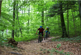 Quelle: Arbeitshilfe Mountainbike-Wege im Luzerner Wald, Foto: Tobin Meyers (ensemen)