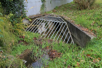 Rechenanlage zum Schutz vor Schwemmholz und Geschwemmsel