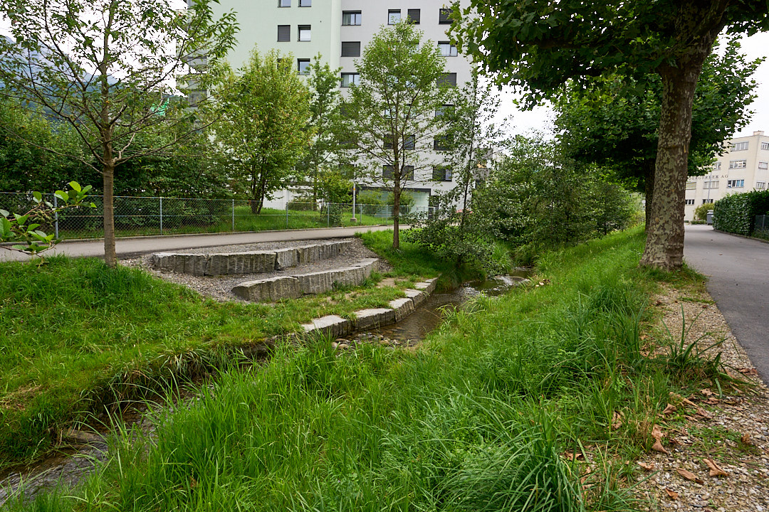 Gewässerzugang Steinibach Horw